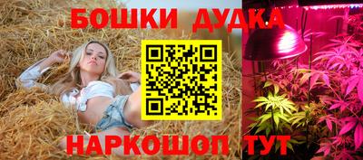 молекула духа Северобайкальск