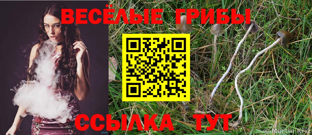 Галлюциногенные грибы MAGIC MUSHROOMS  Галлюциногенные грибы Magic Shrooms  Вход с VPN  Рассказово 